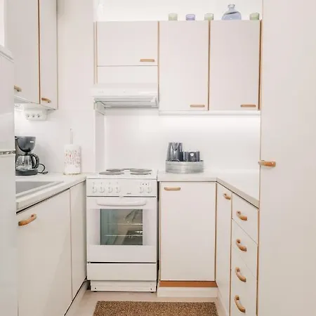 Fresh Studio With Balcony In Central Apartment Turku
